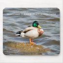 Buscar reposo alfombrillas de raton Vida silvestre