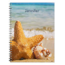 Buscar seashells oficina escuela Tropical