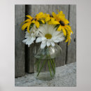 Buscar campo de margaritas posters Flor