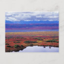 Buscar denali postales Alce