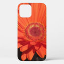 Buscar gerbera iphone fundas Naturaleza