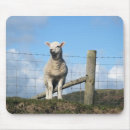 Buscar ovejas alfombrillas de raton General y unisex