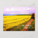 Buscar amarillo y blanco postales General y unisex