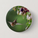 Buscar pájaros salvajes chapas Animales