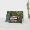 Buscar patitos tarjetas Día del padre