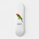 Buscar loro tablas de skate Colorido