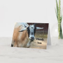 Buscar heno tarjetas Adorable