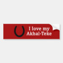 Buscar teke akhal Caballo