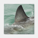Buscar dorsal imanes Naturaleza