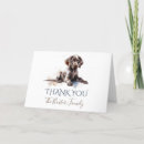 Buscar plazo tarjetas General y unisex