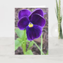 Buscar deslumbramiento tarjetas Naturaleza