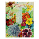 Buscar intemporal posters General y unisex
