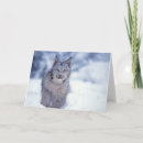 Buscar lince tarjetas Retrato