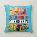 Buscar dc cojines Superhéroe
