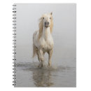 Buscar ferus Camargue