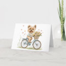 Buscar el biking tarjetas Bicicleta