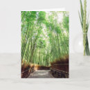 Buscar bambú tarjetas Arashiyama