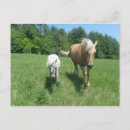 Buscar inglaterra rural postales Vermont
