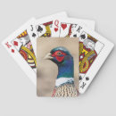 Buscar faisán barajas de cartas Búsqueda