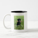 Buscar labrador retriever tazas Amante del perro