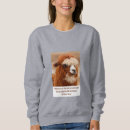 Buscar alpaca sudaderas Llama