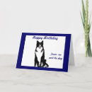 Buscar collie tarjetas 8 º tarjeta