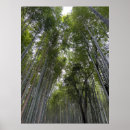 Buscar bosque de bambú posters Kyoto