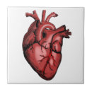 Buscar anatómico azulejos Corazón
