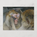 Buscar dental postales Diente de bebé