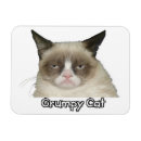Buscar salsa imanes Gato