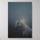Buscar caballos hermosos posters Equino