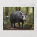 Buscar tapir postales Animal