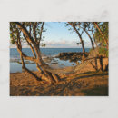 Buscar playa de puerto rico postales Naturaleza