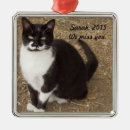 Buscar smoking negro Gatos