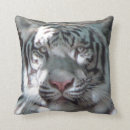 Buscar depredadores cojines Tigre