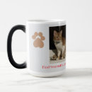 Buscar gatitos tazas Para él