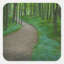 Buscar oeste pegatinas Bosque