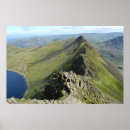 Buscar de la raya posters General y unisex