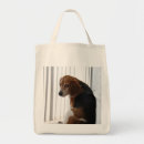 Buscar actitud bolsos Tonto