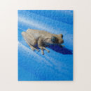 Buscar piscina puzzles 8 º piscina