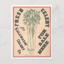 Buscar apio postales Vintage