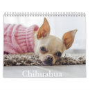 Buscar chihuahua calendarios Canina