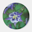 Buscar columbines imanes Flor