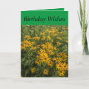 Buscar naturaleza y paisajes los del tarjetas de cumpleaños Belleza