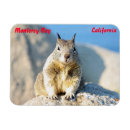 Buscar monterey imanes California