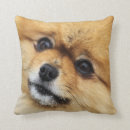 Buscar pomeranian cojines Poms