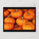 Buscar abundancia postales Calabaza