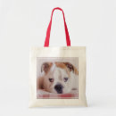 Buscar tímido bolsos Perrito