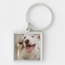Buscar bull terrier llaveros Parte del cuerpo animal