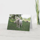 Buscar cara divertida tarjetas Foto